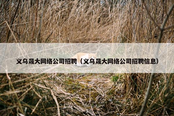义乌晟大网络公司招聘（义乌晟大网络公司招聘信息）