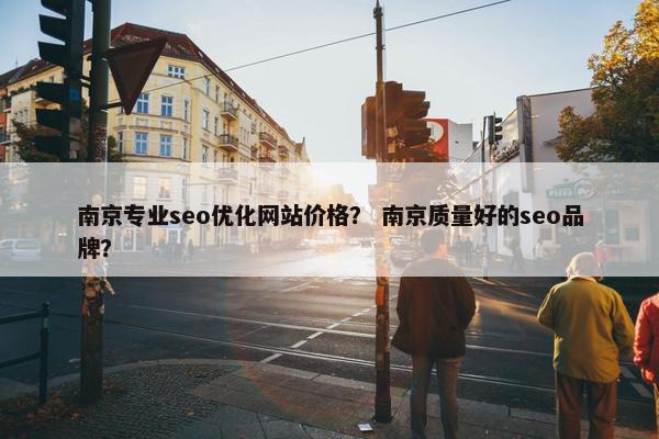 南京专业seo优化网站价格？ 南京质量好的seo品牌？