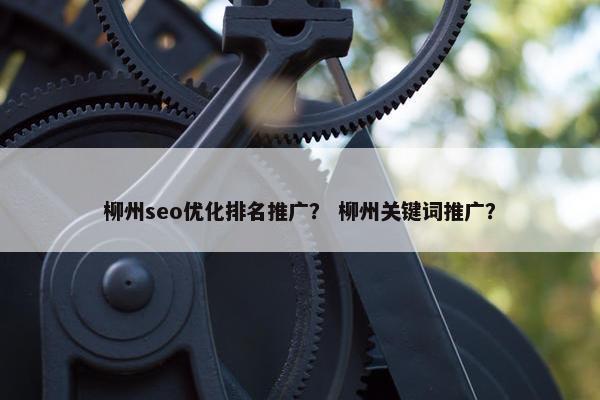 柳州seo优化排名推广？ 柳州关键词推广？