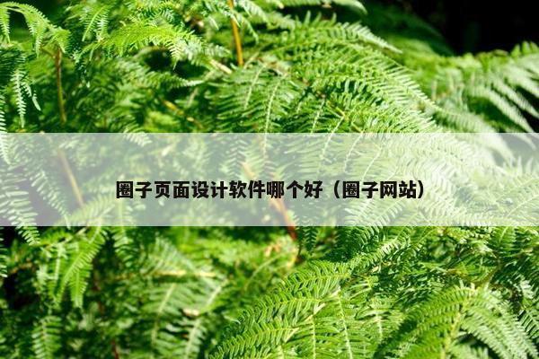 圈子页面设计软件哪个好（圈子网站）