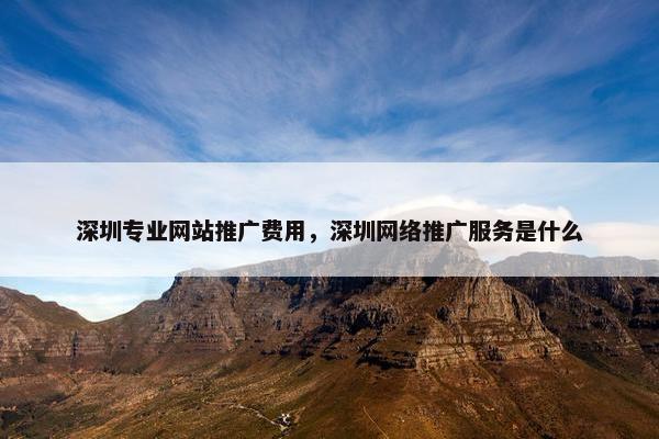 深圳专业网站推广费用，深圳网络推广服务是什么