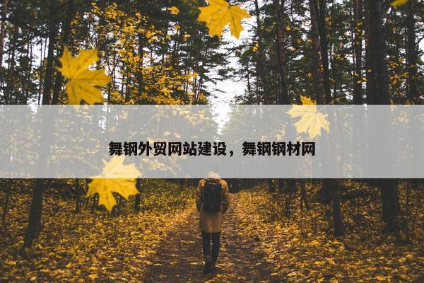 舞钢外贸网站建设，舞钢钢材网