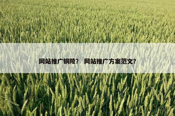 网站推广铜陵？ 网站推广方案范文？