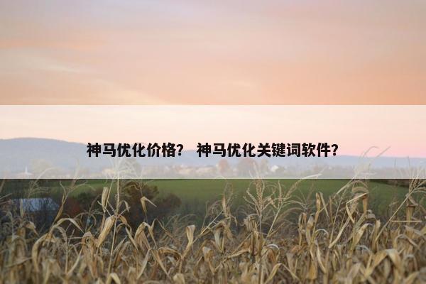 神马优化价格？ 神马优化关键词软件？