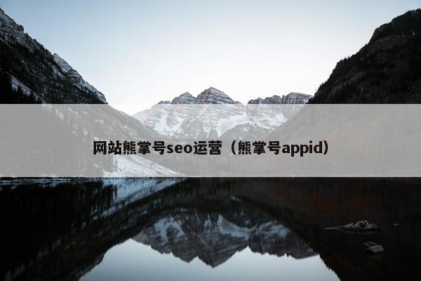 网站熊掌号seo运营（熊掌号appid）
