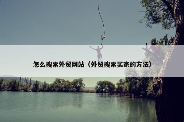 怎么搜索外贸网站（外贸搜索买家的方法）