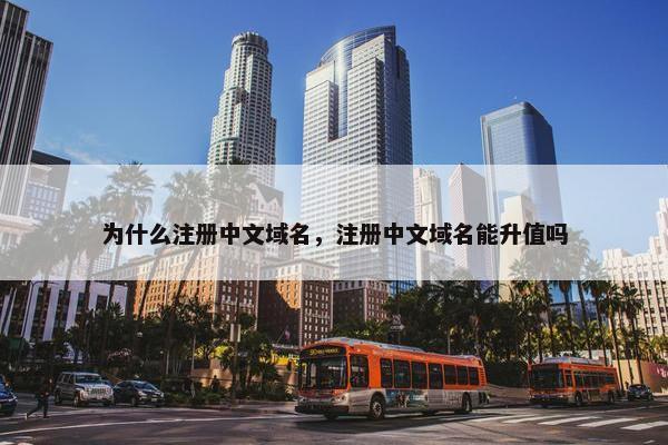 为什么注册中文域名，注册中文域名能升值吗