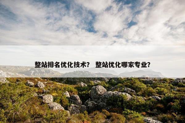 整站排名优化技术？ 整站优化哪家专业？