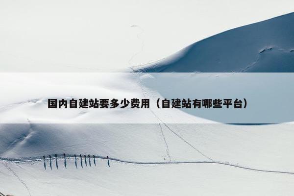 国内自建站要多少费用（自建站有哪些平台）