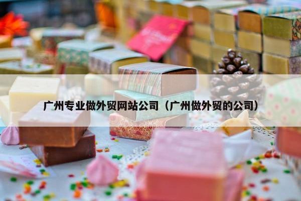广州专业做外贸网站公司（广州做外贸的公司）