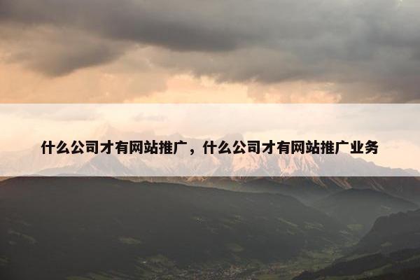 什么公司才有网站推广，什么公司才有网站推广业务