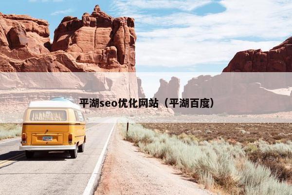 平湖seo优化网站（平湖百度）