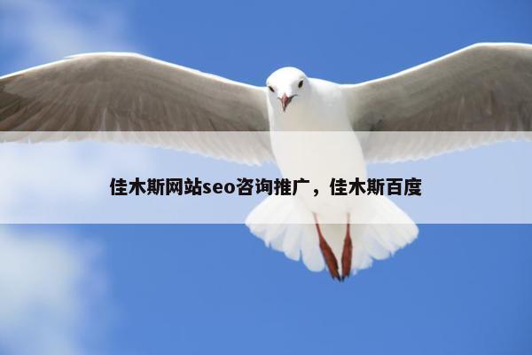 佳木斯网站seo咨询推广，佳木斯百度