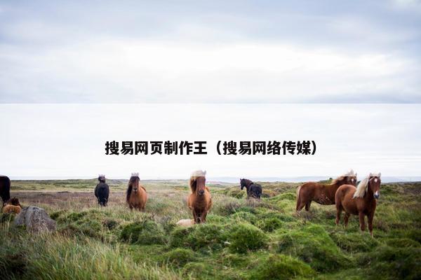 搜易网页制作王（搜易网络传媒）