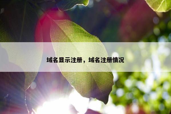 域名显示注册，域名注册情况