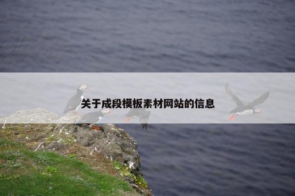 关于成段模板素材网站的信息