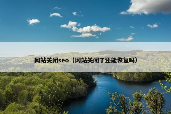 网站关闭seo（网站关闭了还能恢复吗）