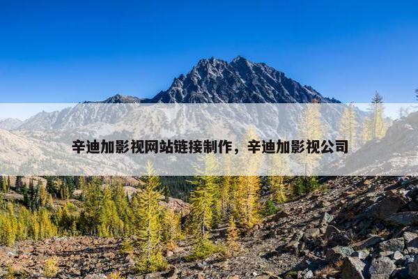 辛迪加影视网站链接制作，辛迪加影视公司