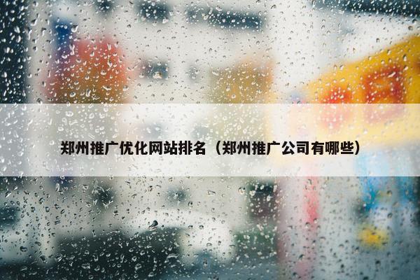 郑州推广优化网站排名（郑州推广公司有哪些）