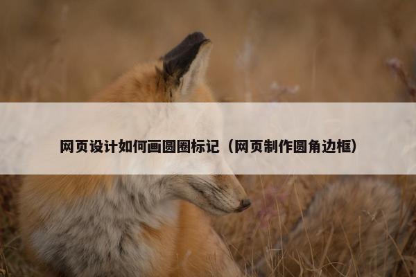 网页设计如何画圆圈标记（网页制作圆角边框）