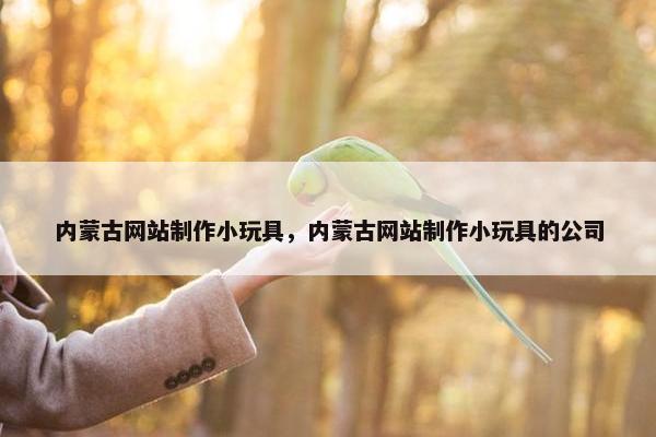 内蒙古网站制作小玩具，内蒙古网站制作小玩具的公司