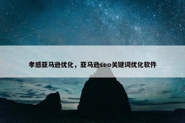 孝感亚马逊优化，亚马逊seo关键词优化软件