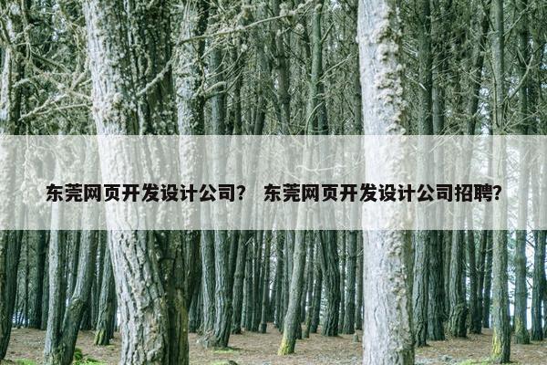 东莞网页开发设计公司？ 东莞网页开发设计公司招聘？