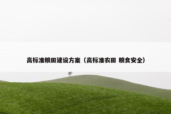 高标准粮田建设方案（高标准农田 粮食安全）