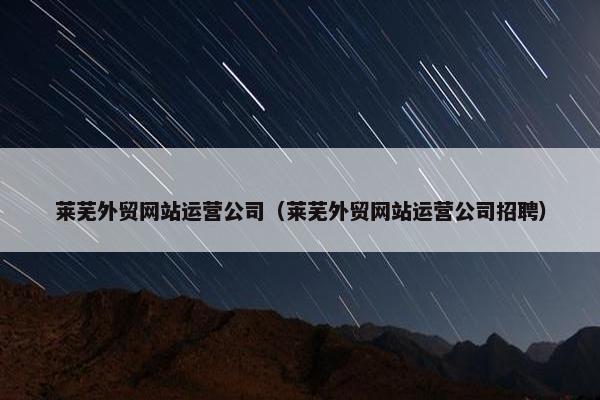 莱芜外贸网站运营公司（莱芜外贸网站运营公司招聘）