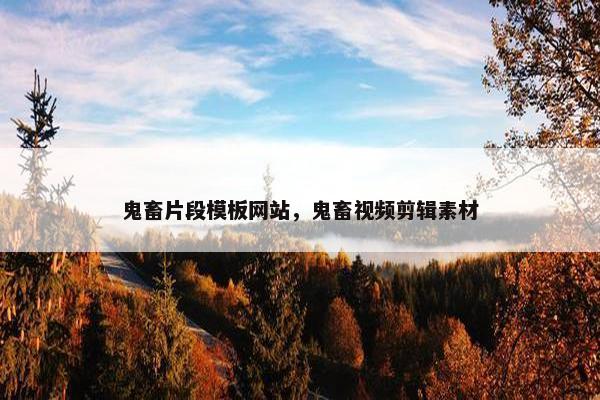 鬼畜片段模板网站，鬼畜视频剪辑素材