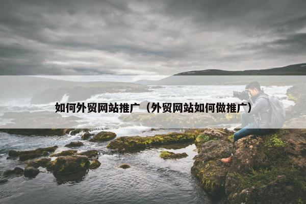 如何外贸网站推广（外贸网站如何做推广）