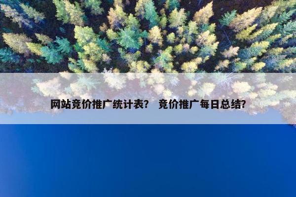 网站竞价推广统计表？ 竞价推广每日总结？