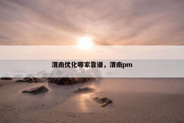渭南优化哪家靠谱，渭南pm
