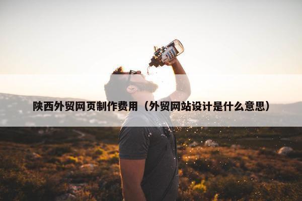 陕西外贸网页制作费用（外贸网站设计是什么意思）
