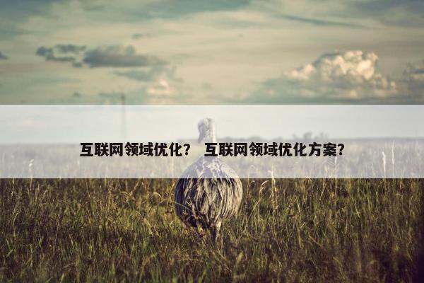 互联网领域优化？ 互联网领域优化方案？