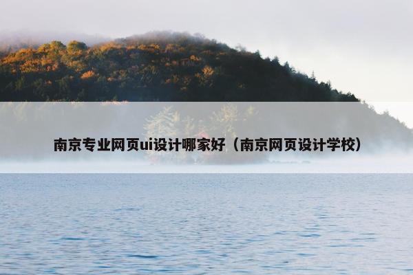 南京专业网页ui设计哪家好（南京网页设计学校）
