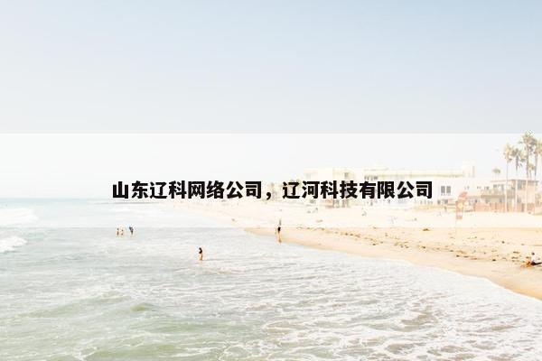 山东辽科网络公司，辽河科技有限公司