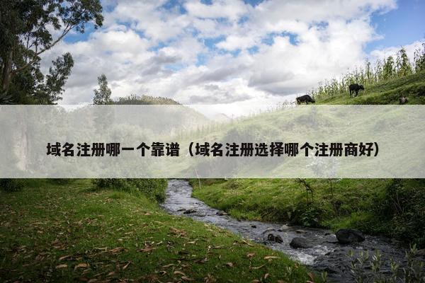 域名注册哪一个靠谱（域名注册选择哪个注册商好）