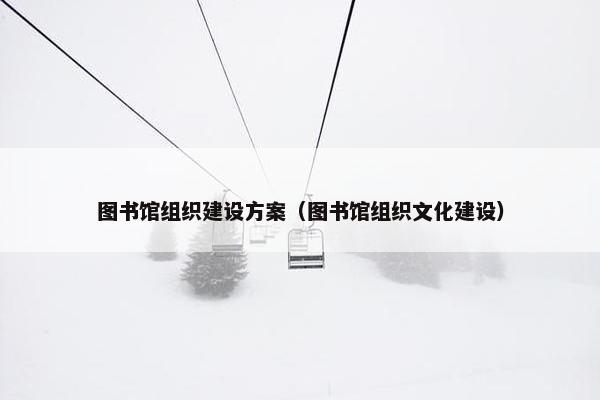 图书馆组织建设方案（图书馆组织文化建设）