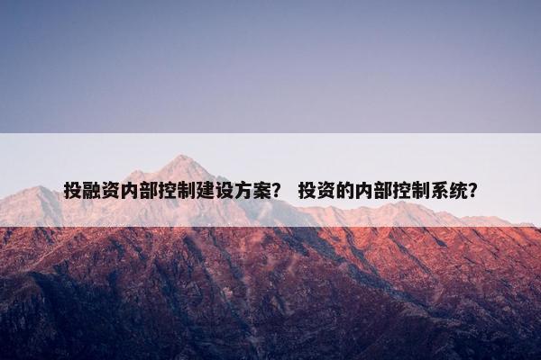 投融资内部控制建设方案？ 投资的内部控制系统？