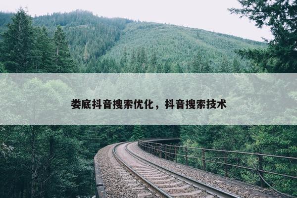 娄底抖音搜索优化，抖音搜索技术