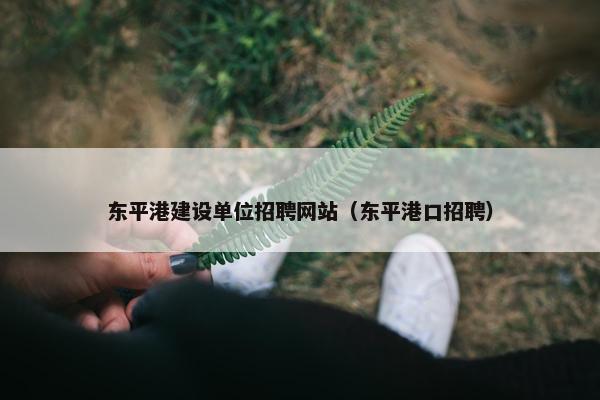 东平港建设单位招聘网站（东平港口招聘）