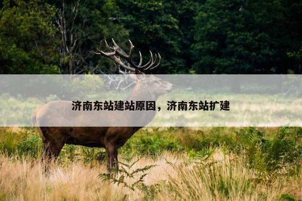济南东站建站原因，济南东站扩建