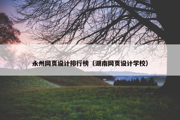 永州网页设计排行榜（湖南网页设计学校）