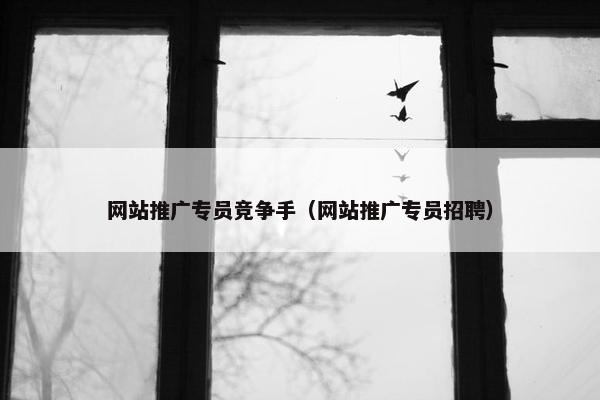 网站推广专员竞争手（网站推广专员招聘）