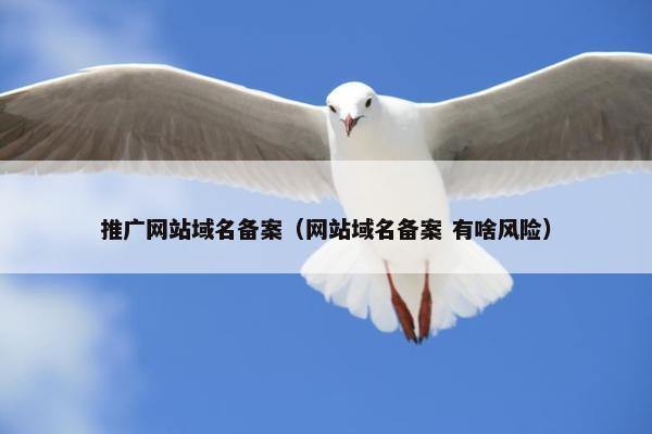 推广网站域名备案（网站域名备案 有啥风险）