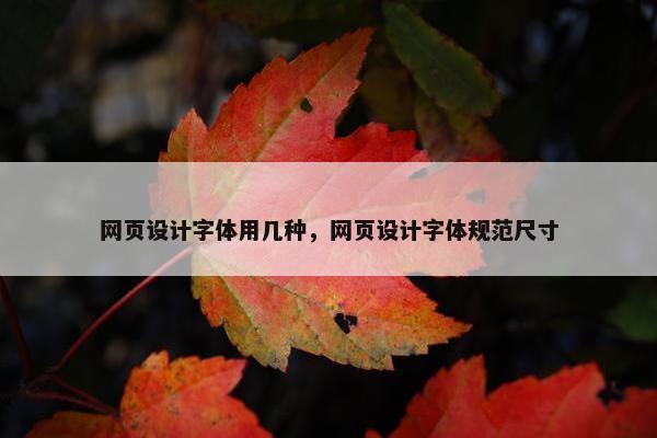 网页设计字体用几种，网页设计字体规范尺寸