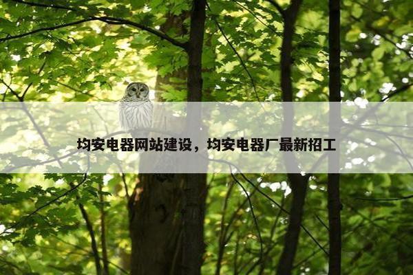 均安电器网站建设，均安电器厂最新招工