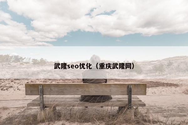 武隆seo优化（重庆武隆网）
