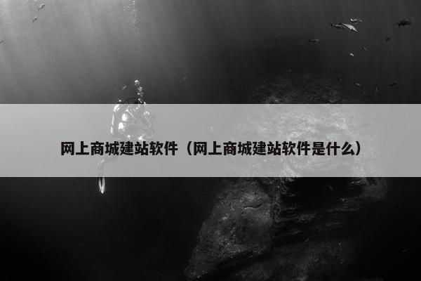 网上商城建站软件（网上商城建站软件是什么）